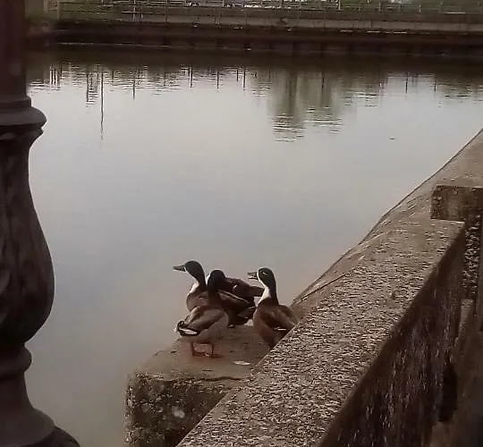 Сasa de vacaciones La Riviera *